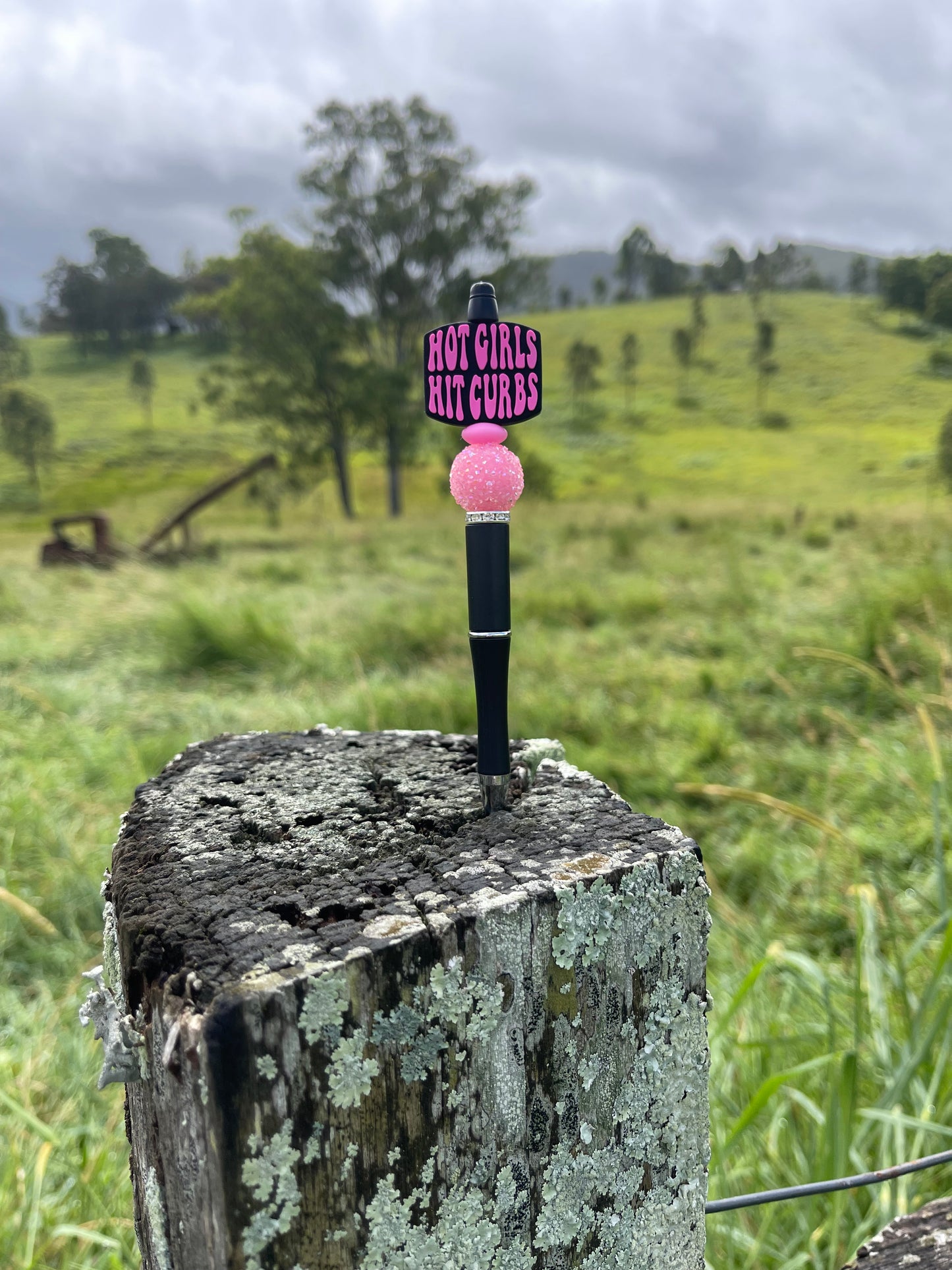 Hot Girls Hit Curbs Pen