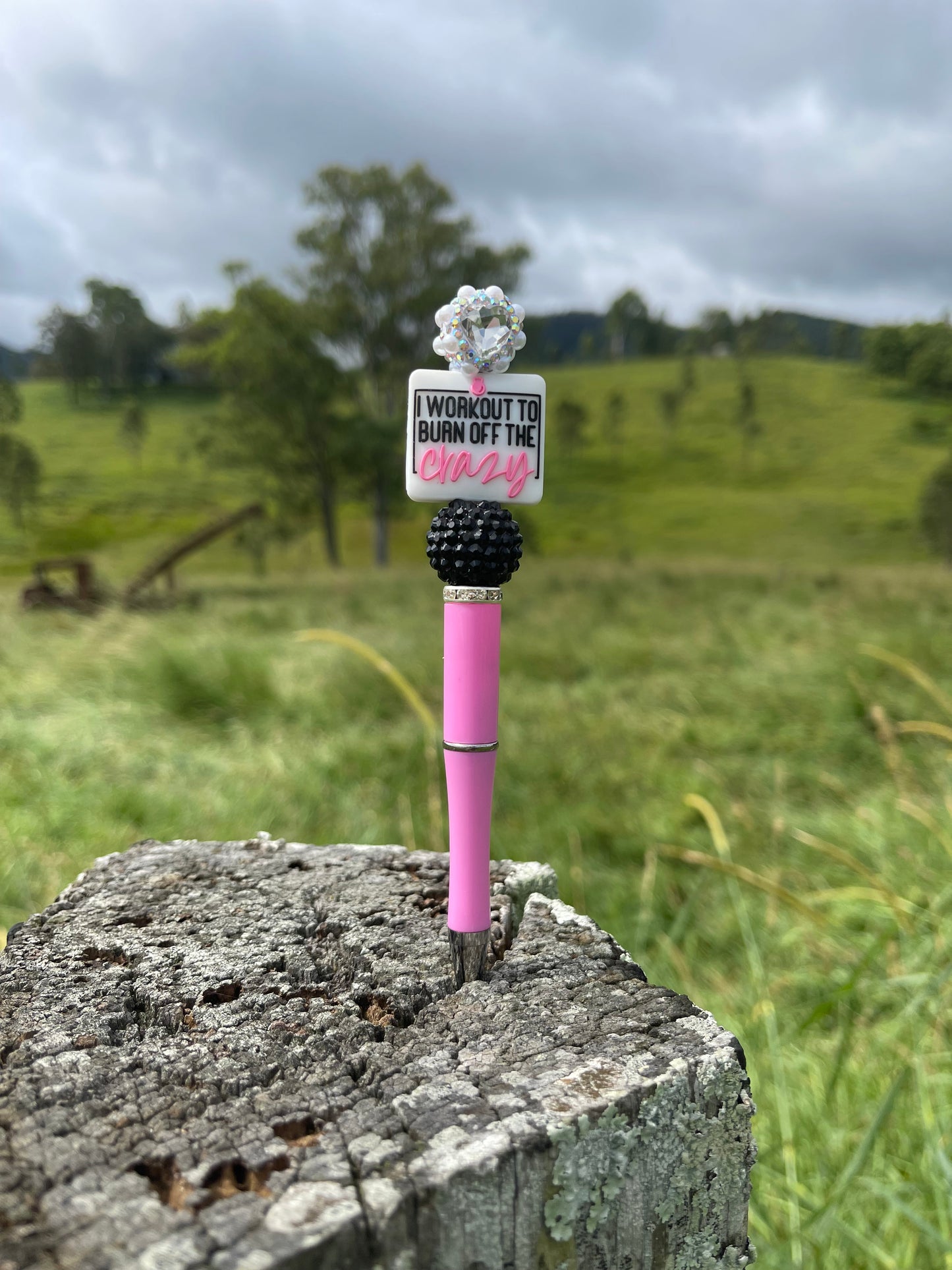 I Workout to Burn off the Crazy Pen