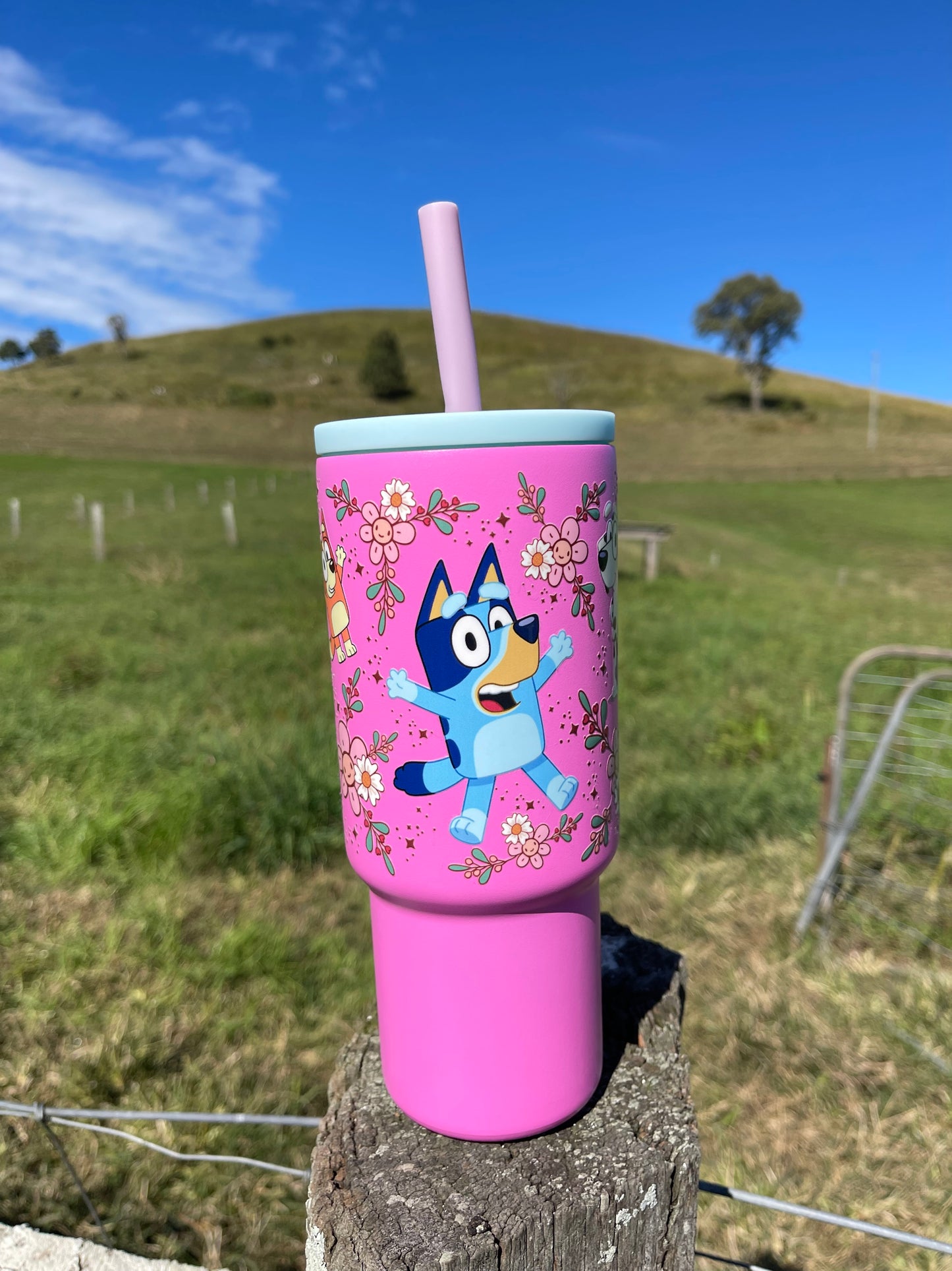 Kids 24oz Stanley Dupe